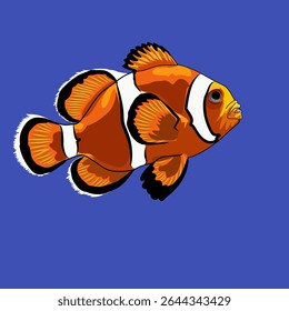 Nemo fish is a character of a clown fish that has a striking orange color with a pattern of lines or spots
