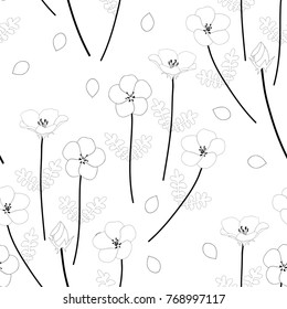 Nemophila Baby Blue Eyes Flower. Vector Illustration. on White Background.