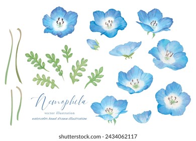 Nemophila botanical frame set painted in watercolor