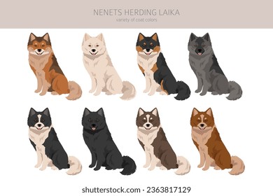 Nenets Herding Laika clipart. All coat colors set.; All dog breeds characteristics infographic. Vector illustration