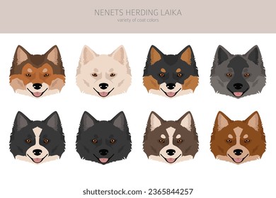 Nenets Herding Laika clipart. All coat colors set.; All dog breeds characteristics infographic. Vector illustration