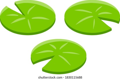 Nenuphars. Water lily, forest and wild life. Cartoon flat illustration. Plant on lake and pond. Large green leaf. Element of nature