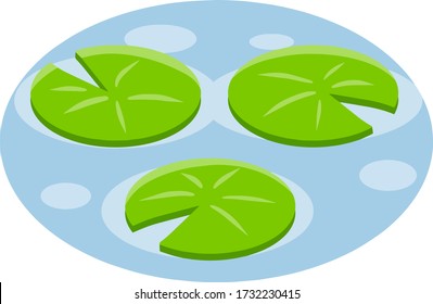 Nenuphars. Water lily. Plant on blue lake and pond. Large green leaf. Element of nature, forest and wild life. Cartoon flat illustration