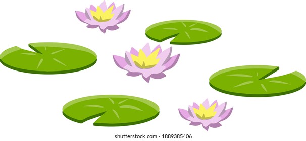 Nenuphars. Water lily. Plant on lake and reservoir. Big green leaf. Element of nature, forest and wild life. Swamp Pink flowers. Flat cartoon