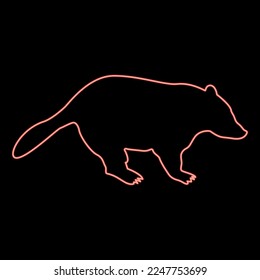 Neon badger animal wild Meles Taxus predatory mammal family kunihih Carnivore red color vector illustration image flat style light