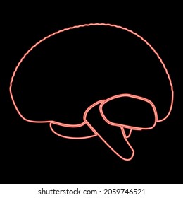 Neon brain icon black color in circle outline vector illustration red color vector illustration flat style light image