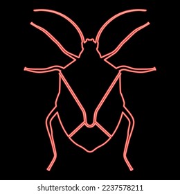 Neon bug Bedbug Chinch True bugs Hemipterans Insect pest red color vector illustration image flat style light