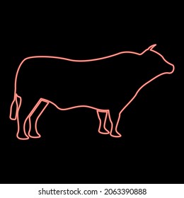 Neon bull red color vector illustration flat style light image