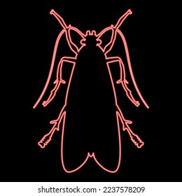 Neon clothes moth Clothing moth Fly insect pest red color vector illustration image flat style light