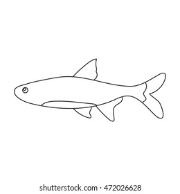 Neon fish icon line Singe aquarium fish icon from the sea,ocean life collection.