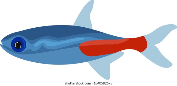 Pescado neón, ilustración, vector sobre fondo blanco