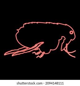 Imagen de la ilustración del vector de color rojo de pulga estilo plano