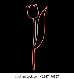 Neon flower tulip plant silhouette red color vector illustration image flat style light