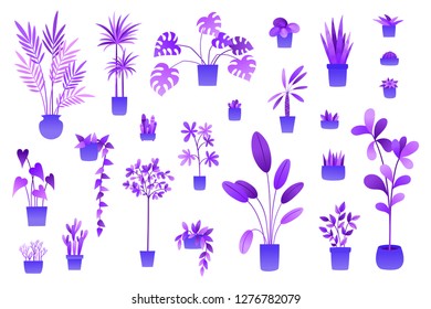 Neon flowers and plants in pots isolated on white - set with monstera, cactus, palm plant for eco-friendly and organic concept vector illustration used for magazine, poster, card, web pages.