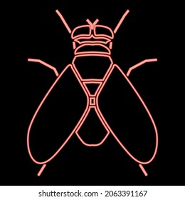 Neon fly red color vector illustration flat style light image
