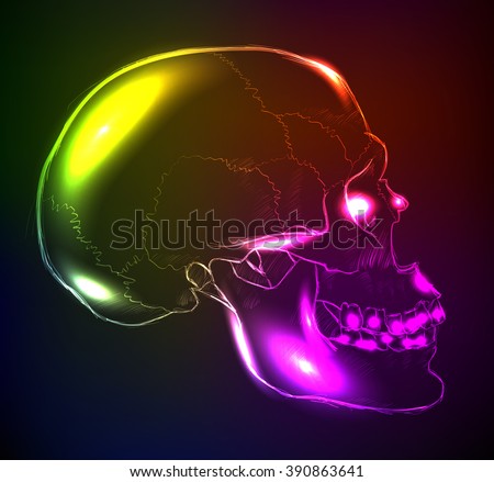 Neon glowing skull on a dark background.