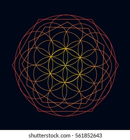 Neon gold vector sketch of a tattoo Abstract spirograph element. Geometric decoration shape, ornament mandala line design, vector flower of life.