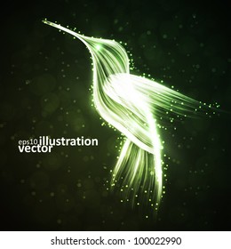 Neon hummingbird, abstract lights vector backgrounds eps10