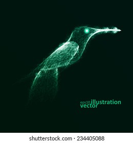 Neon hummingbird, abstract lights vector backgrounds eps10