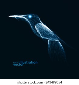 Neon hummingbird, abstract lights vector backgrounds eps10