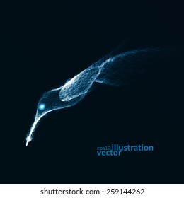 Neon hummingbird, abstract lights vector backgrounds eps10