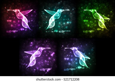 Neon hummingbird, abstract lights vector backgrounds eps10