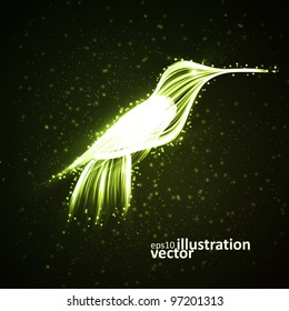 Neon hummingbird, abstract lights vector backgrounds eps10