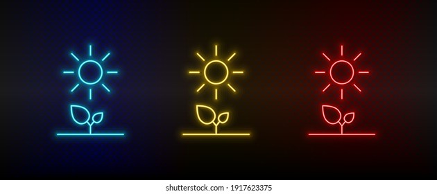 Neon icon set plants, sun, eco. Set of red, blue, yellow neon vector icon