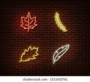 Neon leaves signs vector isolated on brick wall. Ear of wheat, feather, leaf light symbol, autumn decoration effect. Neon oktoberfest illustration.