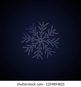 Neon lighting snowflakes 