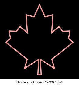 Neon maple leaf the red color vector illustration flat style image