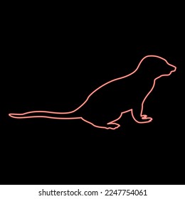 Neon meerkat in pose Suricata Suricatta red color vector illustration image flat style light