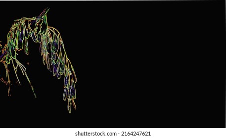 Neon outline of hanging ash lionfish seeds on a dark background. Space for copy. Vector.
