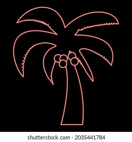Neon palm red color vector illustration flat style image