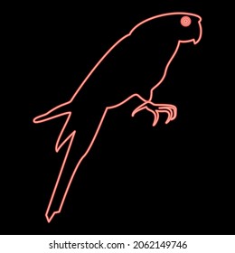 Neon parrot red color vector illustration flat style light image