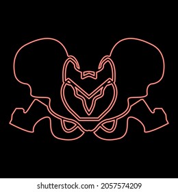 Neon pelvis skeleton red color vector illustration flat style light image