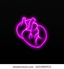 Neon pink anatomical heart glowing brightly, showcasing vibrant contrast against the surrounding darkness.