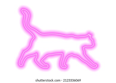 Neon pink cat isolated on white. The cat walks with its tail raised high. Vector illustration