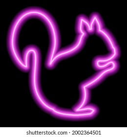 Neon pink squirrel silhouette on a black background. Vector illustration, minimalism