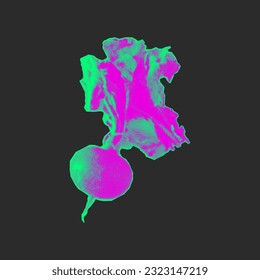 Neon radish in halftone style. Vector collage vegetable element on a dark background, bright pink and turquoise colors. Vibrant beautiful poster.