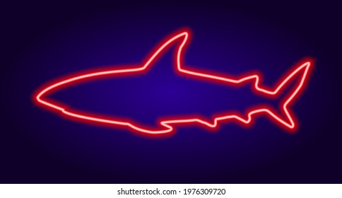 neon shark sign in red on dark blue background. isolated glow-in-the-dark neon tube in red color in the shape of a carnivorous sea fish SHARK on a dark blue background for the design template
