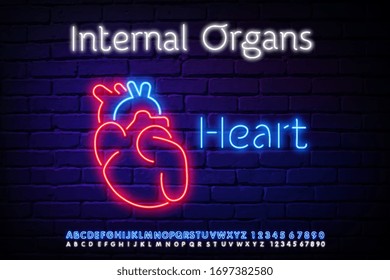Neon sign single continuous line art anatomical human heart silhouette. Healthy medicine concept design neon glow red one sketch outline light banner vector illustration