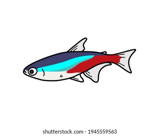 Neon Tetra Fish, a hand drawn doodle of a neon tetra fish, isolated on white background.