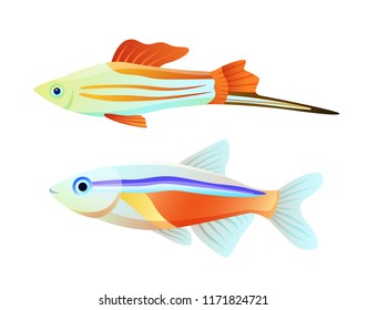 Neon tetra and swordtail fish isolated on white. Freshwater aquarium pets silhouette icon on blank background in cartoon style vector illustration