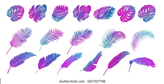 Neon Tropic Banana, Monstera, Palm Leaves Set, Vector Tropical Summer Leaf, vibrant purple template, Disco beach holidays elements collection, fluorescent colors design, paradise party illustration