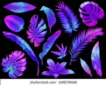 Neon tropical leaves. Color exotic tree and plant leaf, colorful palm leaves hand drawn vector illustration set. Leaf floral tropical, rainforest foliage exotic, fashion botanical