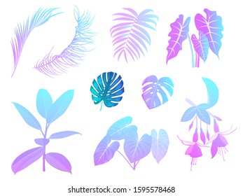 Neon tropical palm leaves, jungle leaves, botanical vector illustration, set isolated on white background for wedding,quotes, Birthday and invitation cards,greeting cards, print, blogs, bridal cards.