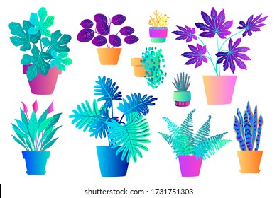Neon tropical plants and flowers in pots. Vector color sketch on a white background. Ultraviolet pink, blue, turquoise. 