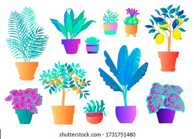 Neon tropical plants and flowers in pots. Vector color sketch on a white background. Ultraviolet pink, blue, turquoise. 