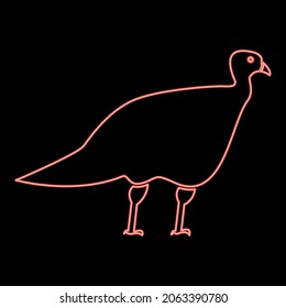 Neon turkeycock red color vector illustration flat style light image